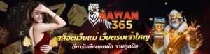 sawan365สมัครสมาชิก